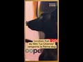 Cannes 026 : La chienne Yuri a remportée la Palme Dog