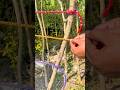 Secret Knot Everyone Needs! #KnotTrick #RopeHack #SmartKnot #DIYHack #LifeHacks #ShortsVideo