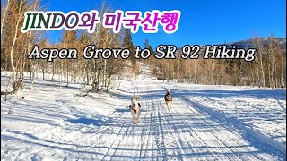 (#진도개와미국산행) Aspen Grove to SR92 with #KoreanDog #JINDO &amp; #Malamute