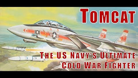 F-14 TOMCAT: The US Navy