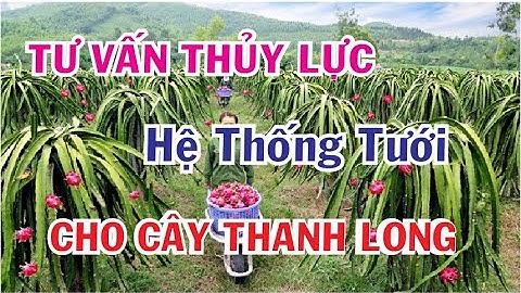 HƯỚNG DẪN THIẾT KẾ HỆ THỐNG TƯỚI  CHO CÂY THANH LONG VƯỜN ANH SÁU