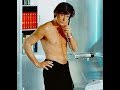 ALAIN DELON I JUST CALLED TO SAY I LOVE YOU (STEVIE WONDER)