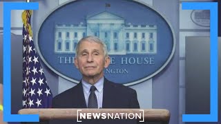Fauci to face House GOP over COVID-19 origins | Morning in America