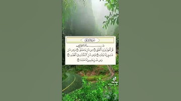 سورة قل اعوذ برب الفلق.. قرائه تريح القلب