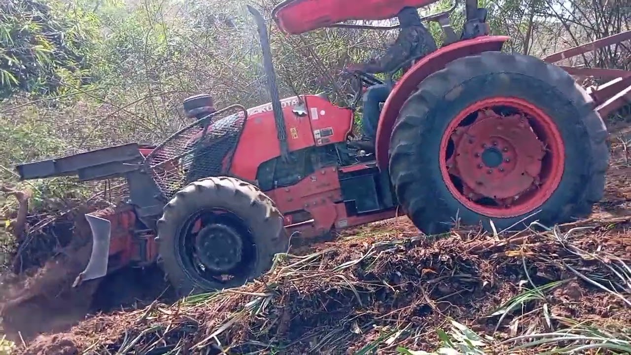 ดันป่าสับปะรดเก่าทิ้งเพื่อปลูกใหม่#สับปะรด #บนดอย #คูโบต้า #m7040 