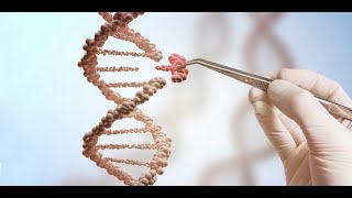 Kalıtım Konu Anlatımı Hiçbir Yerde Olmayan Pratik Yollar