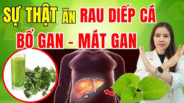 SỰ THẬT | Ăn RAU DIẾP CÁ có bổ GAN không ? Các công dụng của rau diếp cá | Đỗ Ngọc Diệp