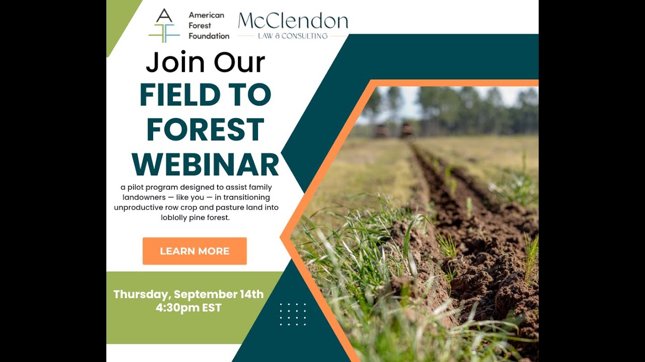 Learn about the Field to Forest Program for Georgia Landowners