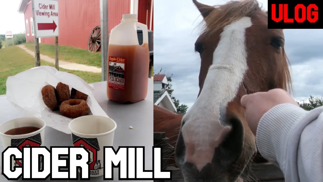 Best Cider Mill in Michigan Donuts & Cider YouTube