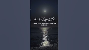 🕌خشوع وإلهام | أجمل لحظات التلاوة مع ياسر الدوسري 📿