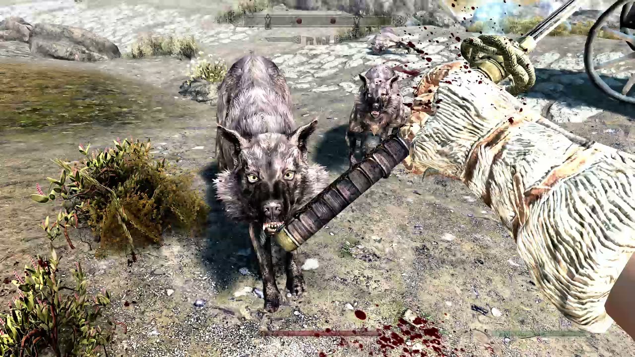 Skyrim SE Carriage Mod YouTube