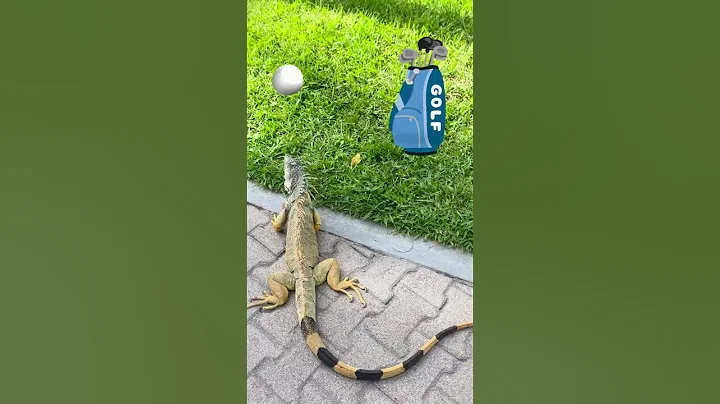 Enjoy traveling with Evy! #viralvideo #familyfun #fun #kids #travel #mexico #funny #viralshorts