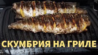 СКУМБРИЯ НА ГРИЛЕ TEFAL!!! ОЧЕНЬ ВКУСНО!!! НЯМ-НЯМ!!!