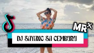 DJ SAYANG SA CEMBURU (MR X)