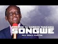 Mch Moses Magembe KAZI YA MSALABA KAMPENI YA UAMSHO TANZANIA SONGWE 03