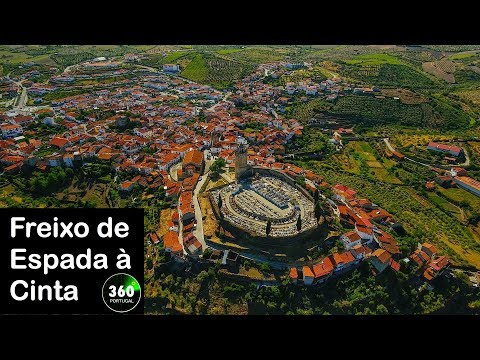 Vídeo: Onde o freixo branco cresce?