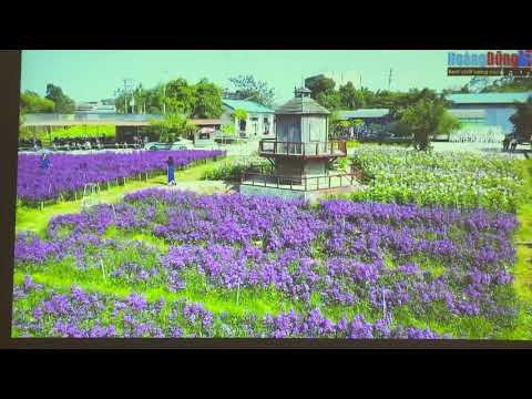 Panaosonic PT-TW340, Tw350, Tw370...