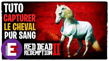 Ou capturer cheval Red Dead Redemption 2 ?
