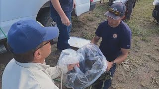 Colorado's fight to save a toad takes serious heights