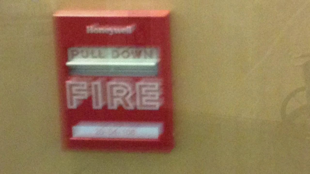 THE FIRE ALARMS AT MY HOTEL WENT OFF YouTube