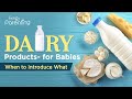 Dairy products for babies  when to introduce what