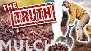 MULCH & BARK | What Your Landscaper Is NOT Telling You!