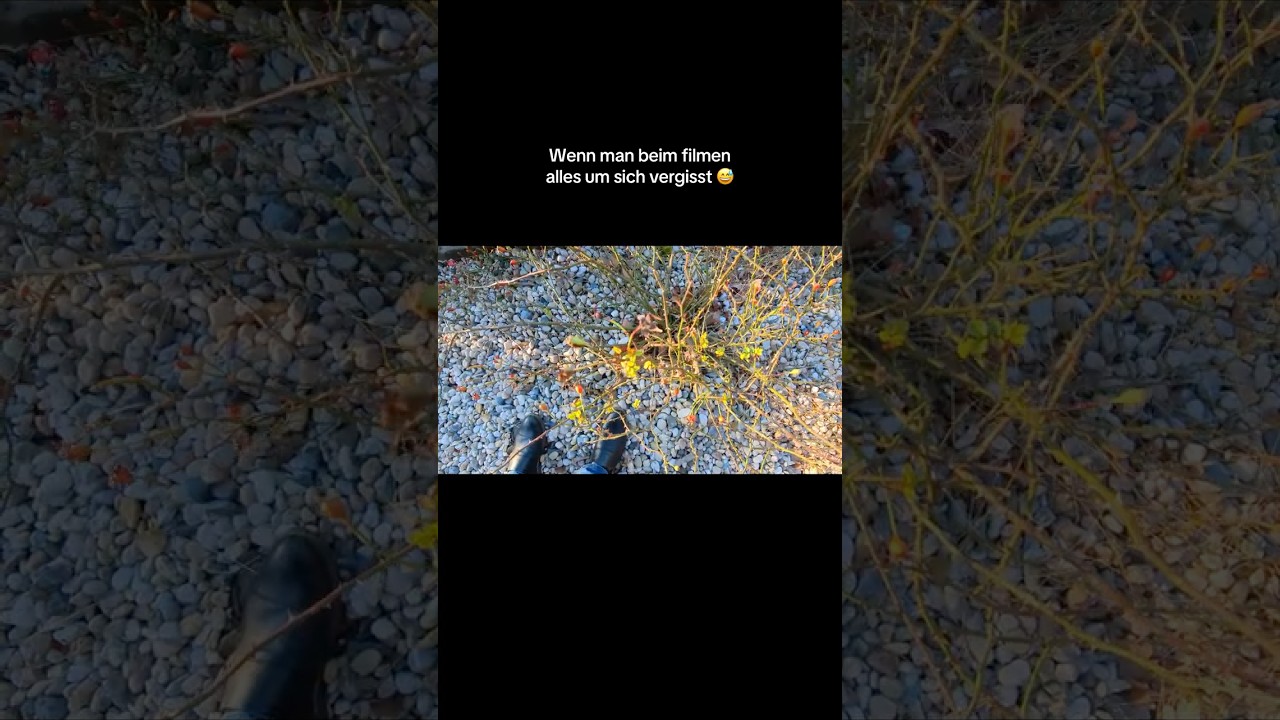 Wenn man beim Filmen alles um sich vergisst 🎥😂 | Der Moment der völligen Absorption