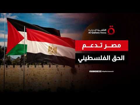 من أروقة الأمم المتحدة.. مصر تواصل تحركاتها الدبلوماسية لدعم القضية الفلسطينية | من مصر