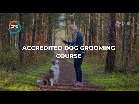 Accredited Dog Grooming Course Online | Care Skills Training