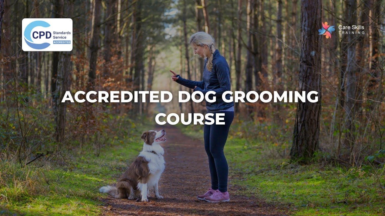 Accredited Dog Grooming Course Online | Care Skills Training