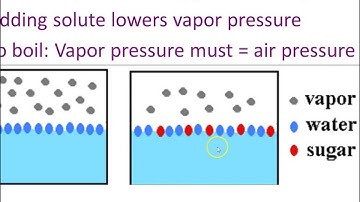 05   Colligative Property Notes   PowerPoint