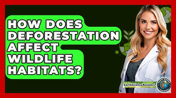 How Does Deforestation Affect Wildlife Habitats? - Earth Science Answers