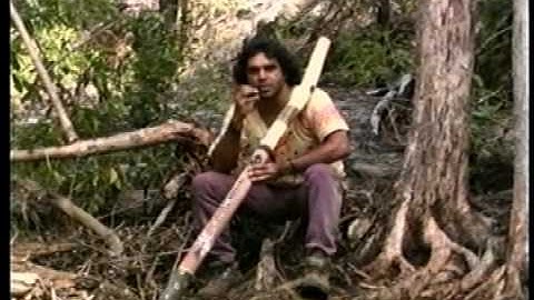 David Hudson Didgeridoo Making-part 2.avi