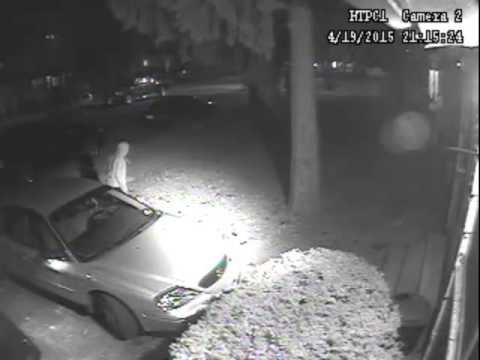 Teens stealing from cars in my driveway, Albany N.Y. - YouTube