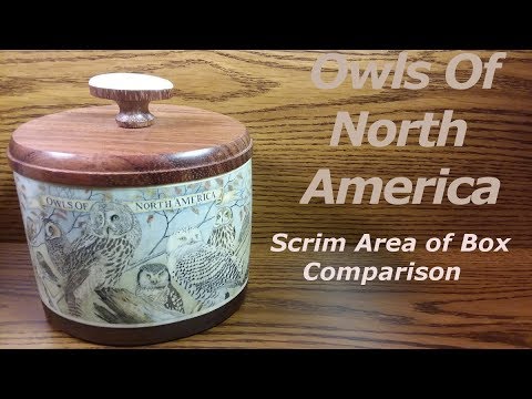 scrimshaw-steps-by-adams---ivory-box;-owls-of-north-america
