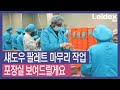 [레이덱스 일상]  화장품 섀도우 팔레트 포장실 현장을 보여드리겠습니다 (Cosmetic production package)