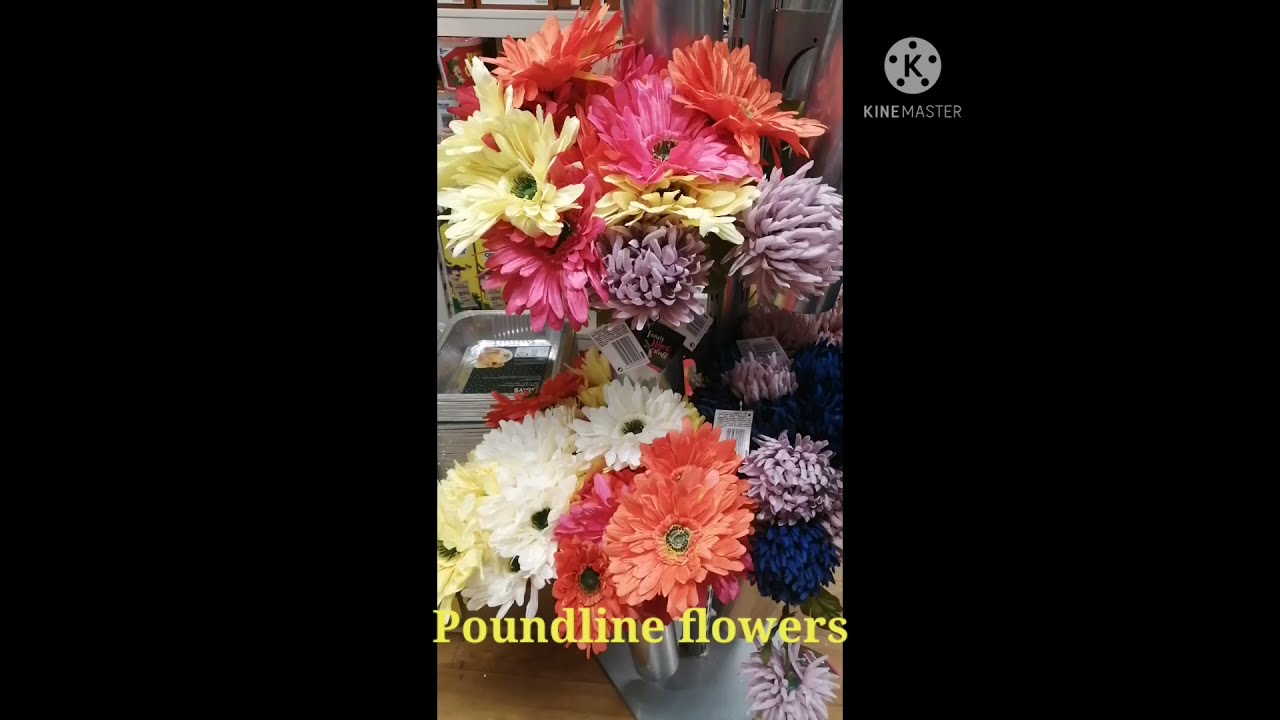 Flowers Shopping Poundland UK Artificial range YouTube