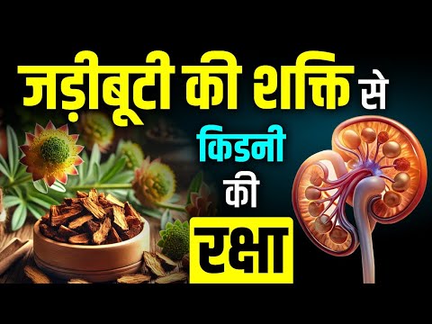 🌱🌿इस जड़ीबूटी की शक्ति से किडनी की रक्षा 🛡️✅| Ayurvedic Medicine for Kidney | Karma Ayurveda Reviews