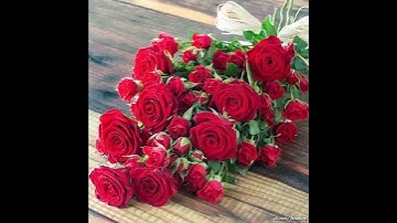 تلاوة خاشعة تبكي القلوب { حتى إذا جاء الموت أحدهم}