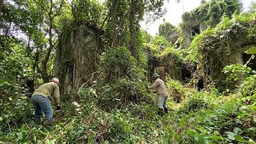 A House Lost to Time — And the One Thing Inside Changed the Whole Story