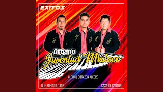 Video thumbnail of "Organo Juventud Mixteco - Mi Linda Chaparrita"