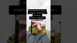 трек - Эверест ( последний самурай )