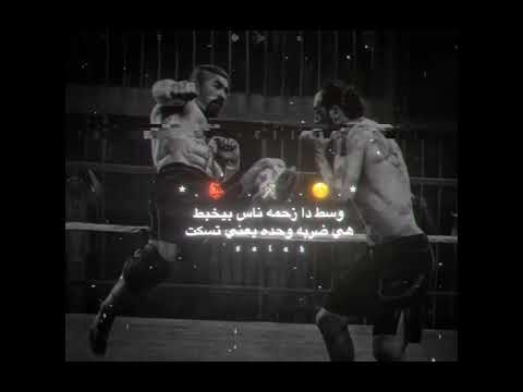 مهرجان زفرت موسي 4 شمبانزي جه قصادي بيتنطط مروان الزعيم Zafart Mosa 4 حالات واتس 2025