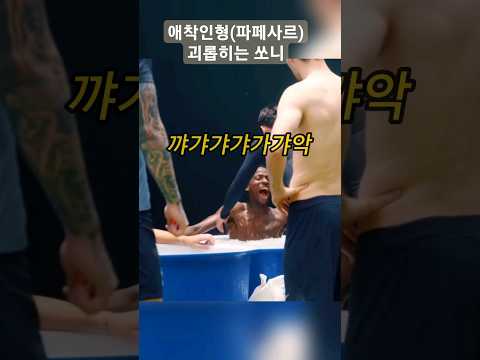 얼음 목욕 중인 애착인형(파페사르) 괴롭히는 손흥민 #손흥민