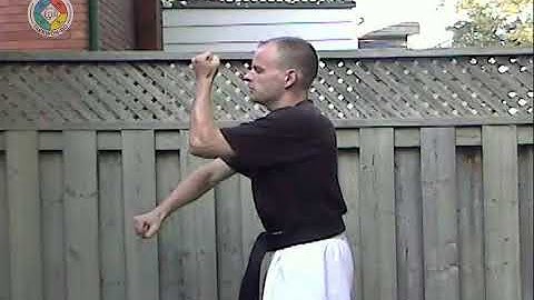 Taekwondo: Hapkido: Foundations: 9-shaped block - side view