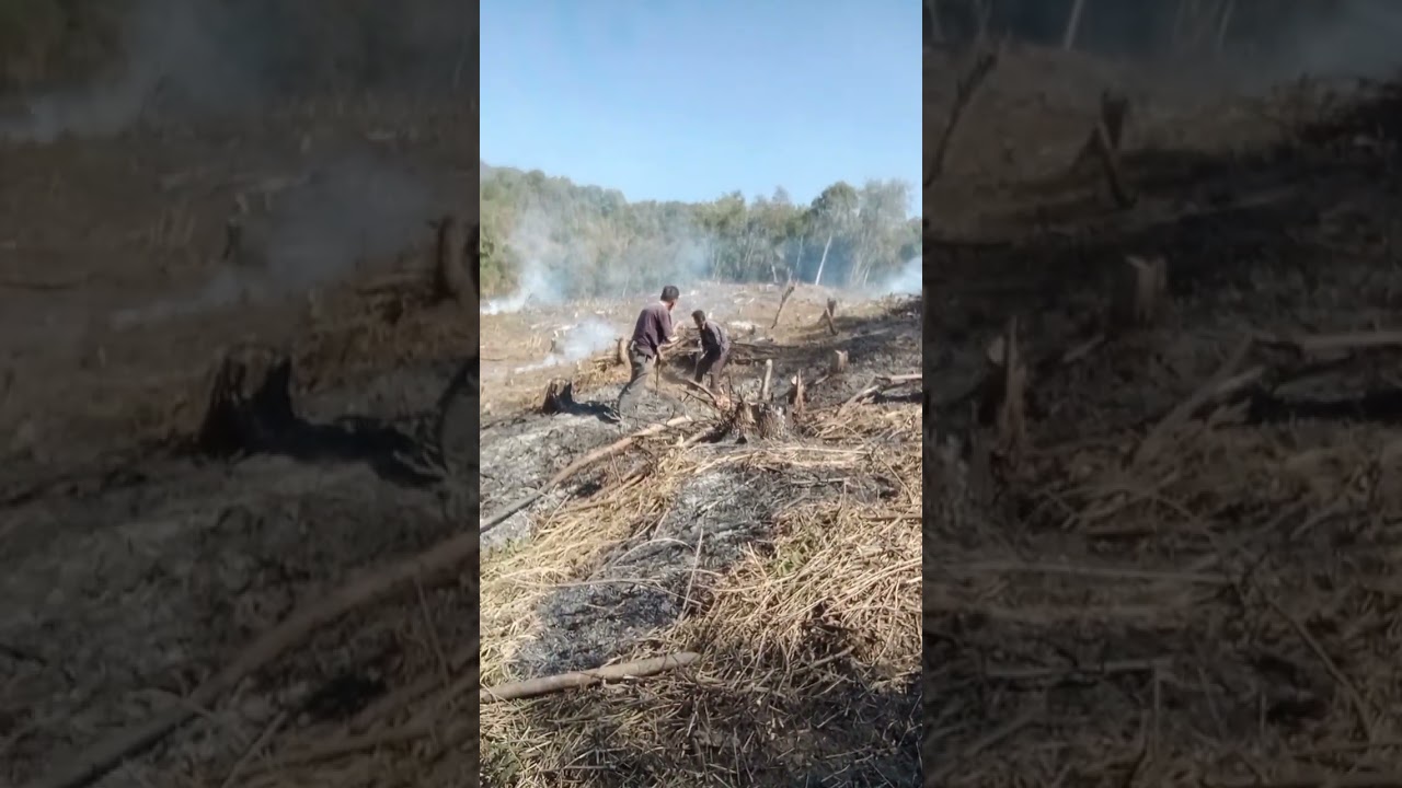 Rükhromi social work at life centre pholami village, phek. Nagaland. 