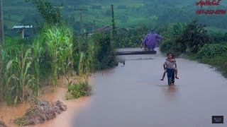 ncig teb chaws nplog 07-22-2018 - Dej nyab zos Moos Them