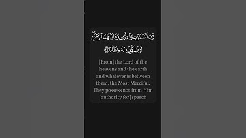 #القرآن_الكريم #quran سورة النبأ | الجزء الرابع من المقطع