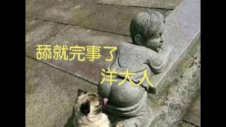 stone记（石头记）：舔破川普多年的老痔疮，要脸就不是屎洞妓了。