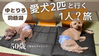 【ゆとりろ洞爺湖】コスパ最強！ペットと泊まれる宿